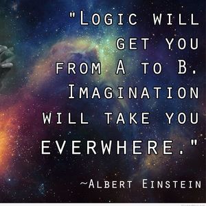 Meet your Posher, Brady